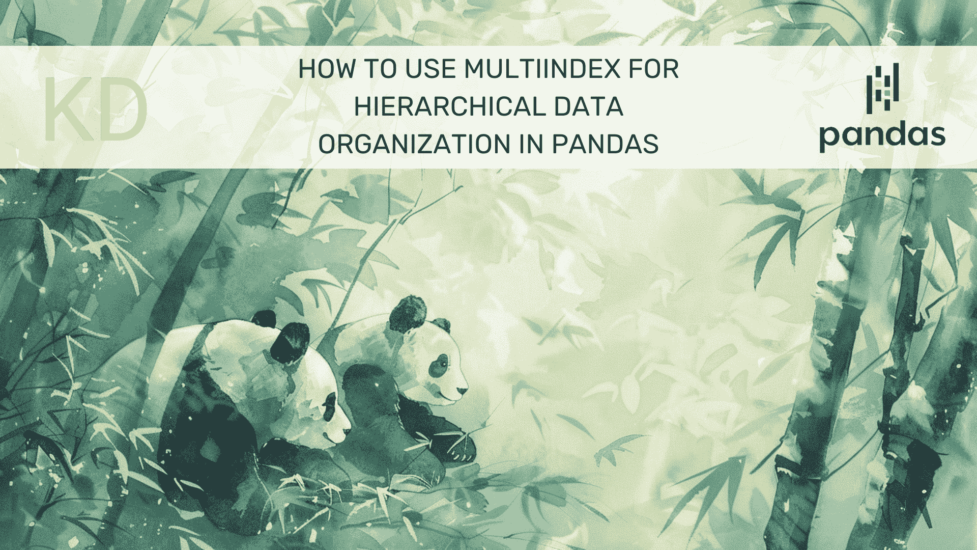 如何在 Pandas 中使用 MultiIndex 进行层次数据组织