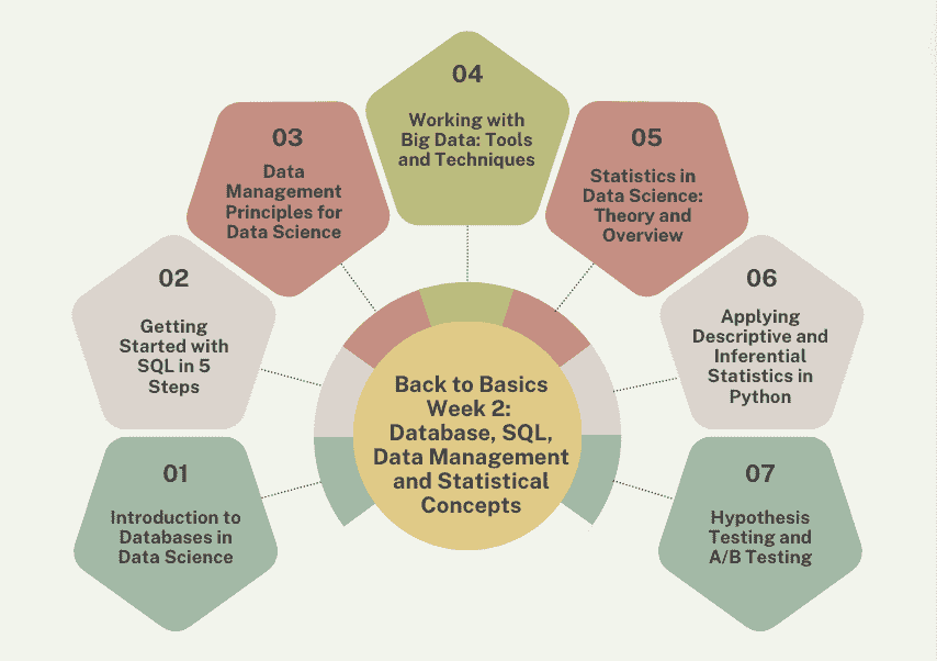 回到基础第 2 周：数据库、SQL、数据管理和统计概念