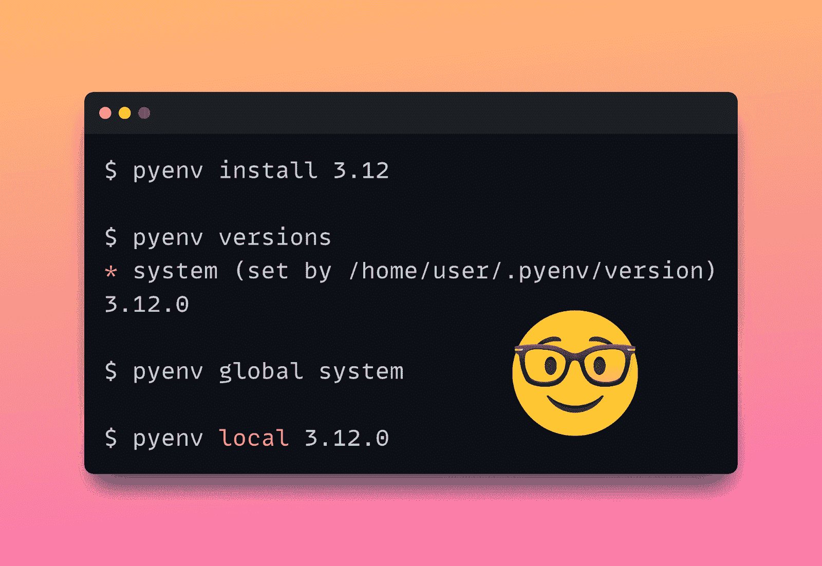 需要管理的 Python 版本太多？Pyenv 来拯救