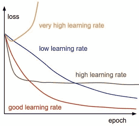 在 PyTorch 中调整 Adam 优化器参数