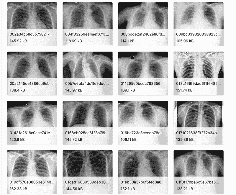 YOLOv5 PyTorch 教程