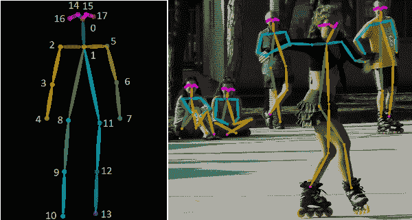 COCO 关键点格式的人体姿势骨架