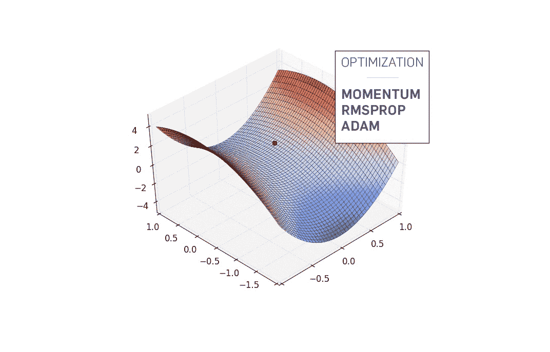 在 PyTorch 中调整 Adam 优化器参数