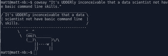 Cowsay whut?!?