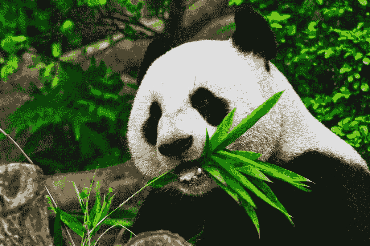 如何有效使用 Pandas GroupBy