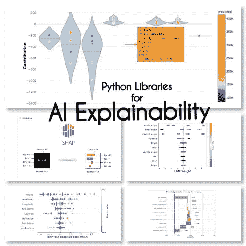 可解释人工智能：10 个 Python 库解密您的模型决策