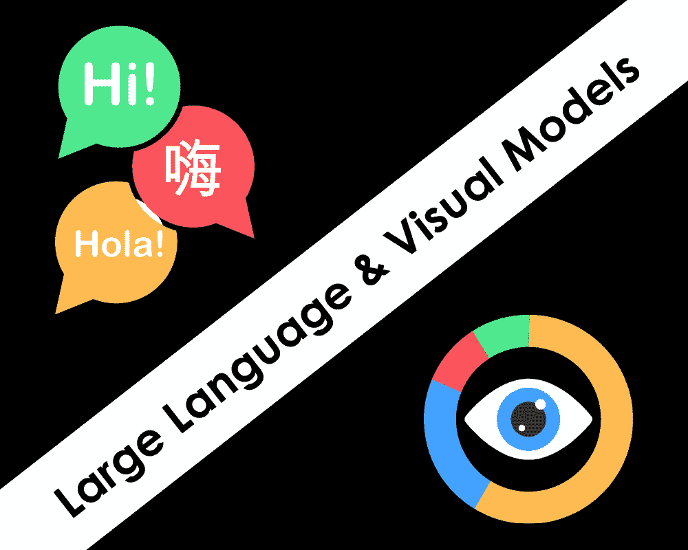 AI：大型语言和视觉模型