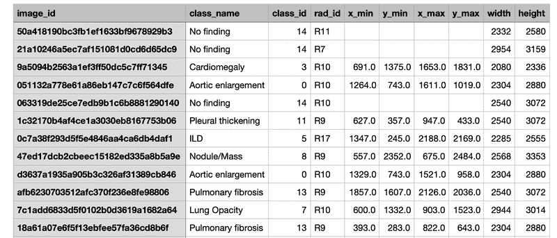 YOLOv5 PyTorch 教程