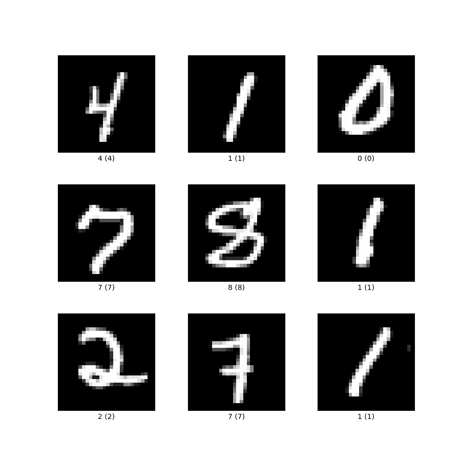 使用 Tensorflow 训练图像分类模型指南