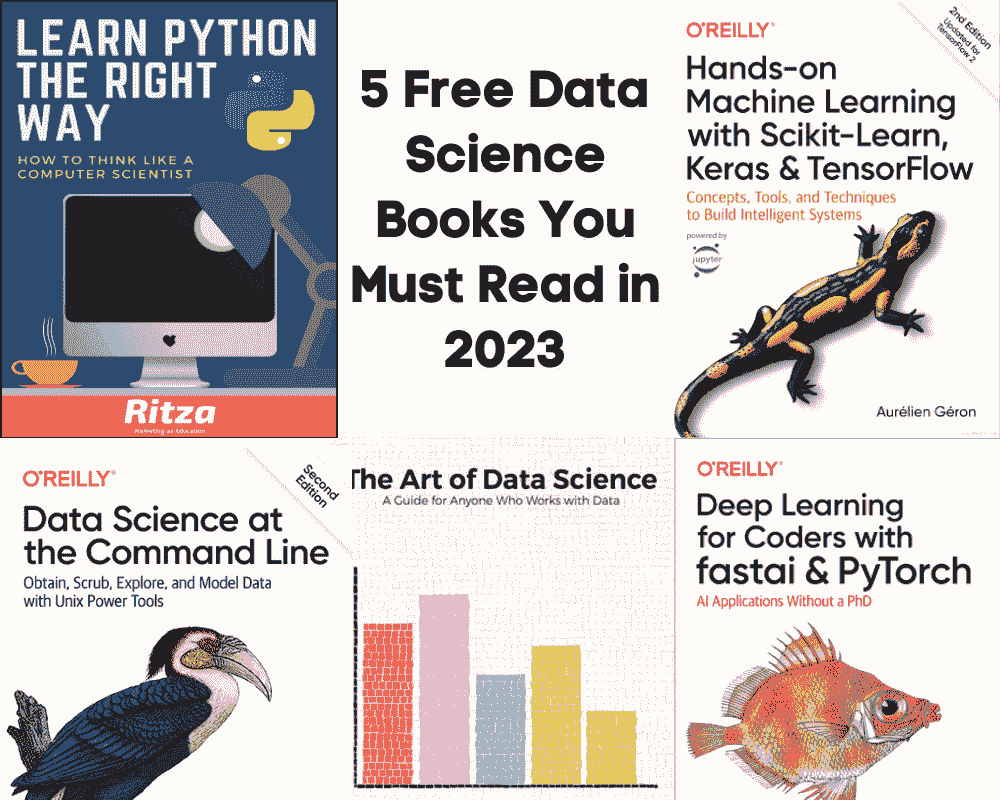 2023 年必须阅读的 5 本免费数据科学书籍