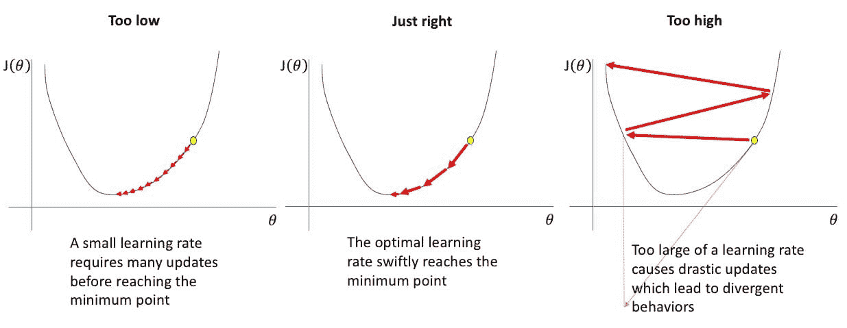 在 PyTorch 中调整 Adam 优化器参数