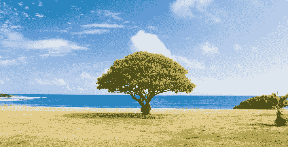 随机森林与决策树:关键区别